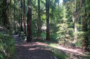 2 Wainwright Pl, Mill Valley, CA 94941 - Photo 1