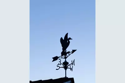 48 Bonita Court, Walnut Creek, CA 94595 - Photo 44