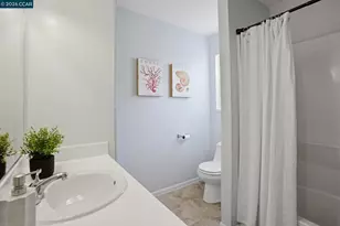 3617 Sanford St, Concord, CA 94520 - Photo 32