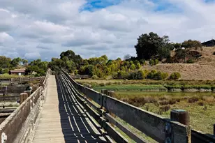 37221 Salt Pond Pl, Newark, CA 94560 - Photo 58