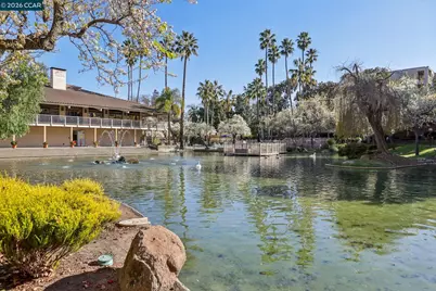 310 Civic Dr #205, Walnut Creek, CA 94596 - Photo 30