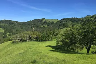 1240 Monticello Rd, Lafayette, CA 94549 - Photo 1