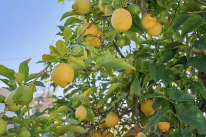 2932 Marina Dr, Alameda, CA 94501 - Photo 50