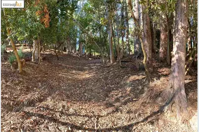 6698 Moore Dr, Oakland, CA 94611 - Photo 10