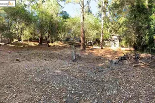 6698 Moore Dr, Oakland, CA 94611 - Photo 12
