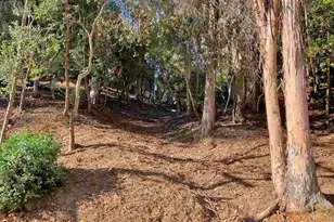 6698 Moore Dr, Oakland, CA 94611 - Photo 6