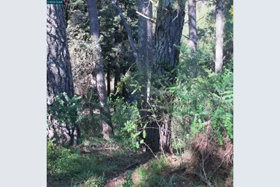 0 Skyline Blvd., Oakland, CA 94619 - Photo 18