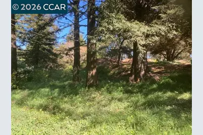 0 Skyline Blvd., Oakland, CA 94619 - Photo 12