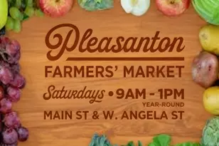 6762 Rancho Ct, Pleasanton, CA 94588 - Photo 40