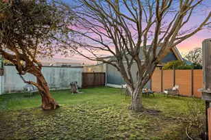 938 Masonic Ave, Albany, CA 94706 - Photo 24