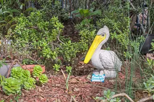 319 Commodore Dr, Richmond, CA 94804 - Photo 46