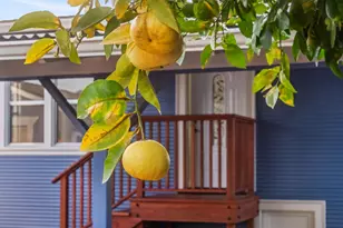 330 Melven Ct, San Leandro, CA 94577 - Photo 48