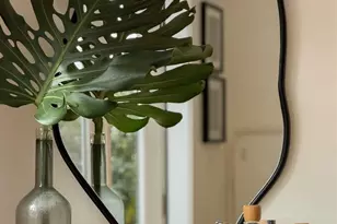 1447 Kains Ave, Berkeley, CA 94702 - Photo 10