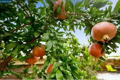 1577 Chianti Ln, Brentwood, CA 94513 - Photo 30