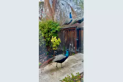 3421 Blackhawk Meadow Drive, Danville, CA 94506 - Photo 18