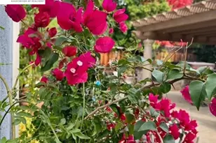 3421 Blackhawk Meadow Dr, Danville, CA 94506 - Photo 18