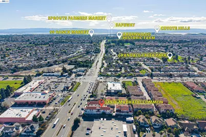 34936 Machado Cmn, Fremont, CA 94555 - Photo 44