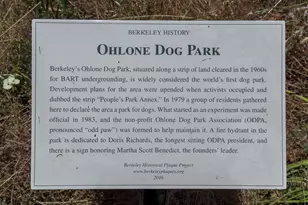 1436 Delaware St, Berkeley, CA 94702 - Photo 38