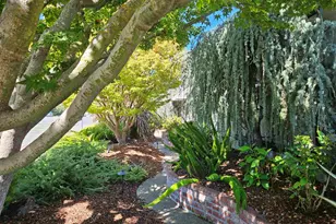 3305 Arcadian Dr, Castro Valley, CA 94546 - Photo 4