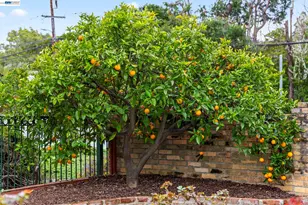 3305 Arcadian Dr, Castro Valley, CA 94546 - Photo 38