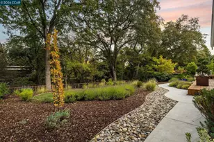 1886 Green Valley Rd, Alamo, CA 94507 - Photo 22