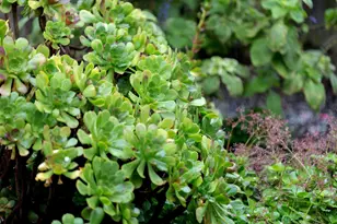 3081 23rd Ave, Oakland, CA 94602 - Photo 56