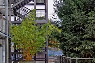 1007 41st St, Oakland, CA 94608 - Photo 46