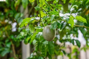 2761 Martin Luther King Jr Ave, Richmond, CA 94804 - Photo 2