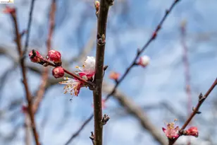 2761 Martin Luther King Jr Ave, Richmond, CA 94804 - Photo 34