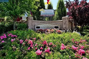 400 Marsanne Ct, Danville, CA 94506 - Photo 38