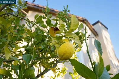 5408 Oakstone Ct, Concord, CA 94521 - Photo 58