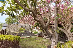 931 Elm St, El Cerrito, CA 94530 - Photo 18