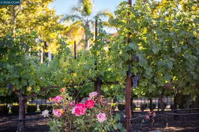 940 Eagle Ridge Dr, Danville, CA 94506 - Photo 56