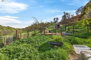 1923 Whitecliff Way, Walnut Creek, CA 94596 - Photo 56