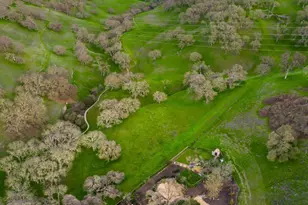 1923 Whitecliff Way, Walnut Creek, CA 94596 - Photo 58