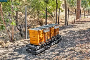 127 Caminar Way, Walnut Creek, CA 94596 - Photo 46