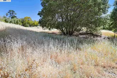 Outlook Ave, Oakland, CA 94608 - Photo 6