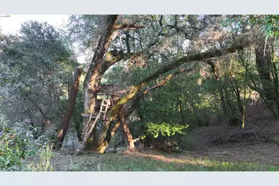 5051 Harrison Grade Rd, Sebastopol, CA 95472 - Photo 22