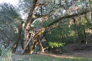 5051 Harrison Grade Rd, Sebastopol, CA 95472 - Photo 24