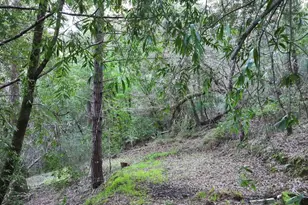 5051 Harrison Grade Rd, Sebastopol, CA 95472 - Photo 16