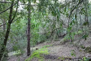 5051 Harrison Grade Rd, Sebastopol, CA 95472 - Photo 20