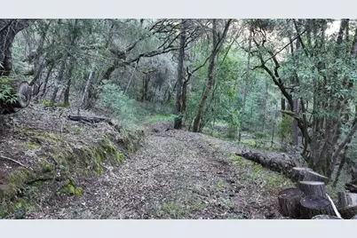 5051 Harrison Grade Rd, Sebastopol, CA 95472 - Photo 18