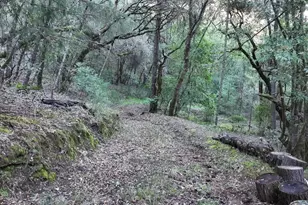 5051 Harrison Grade Rd, Sebastopol, CA 95472 - Photo 18