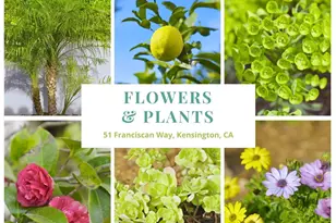 51 Franciscan Way, Kensington, CA 94707 - Photo 42