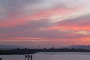 946 Kains Ave, Albany, CA 94706 - Photo 1