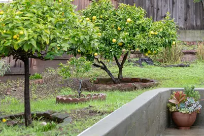 3533 Boston Ave, Oakland, CA 94602 - Photo 42