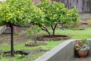 3533 Boston Ave, Oakland, CA 94602 - Photo 42