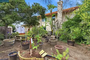 4729 Matterhorn Ct, Antioch, CA 94531 - Photo 10