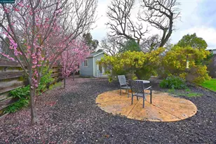 1807 Magnolia Way, Walnut Creek, CA 94595 - Photo 34