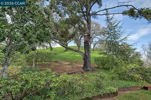 3411 Tice Creek Dr, Walnut Creek, CA 94595 - Photo 16